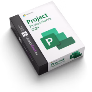 Microsoft Project Professional 2024