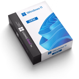Microsoft Windows 11 Pro (OEM)
